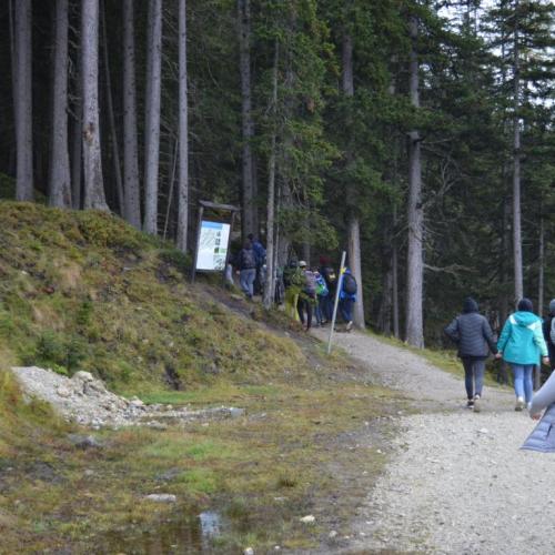 Wandertag7